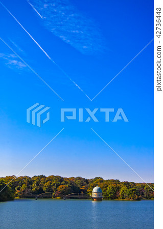 Lake Tama of autumn colors, blue sky, contrails, water tower 42736448
