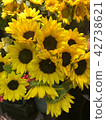 sunflower	 42738621
