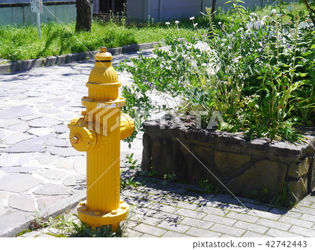 Yellow fire hydrant 42742443