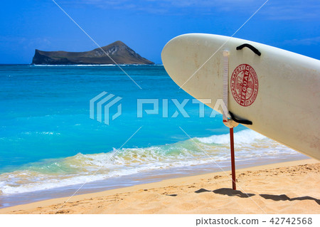 Beach in Hawaii and rescue board 42742568