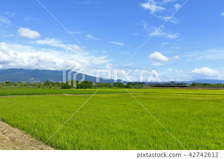 Kiha在Aizu 110的山區和鄉下跑 42742612