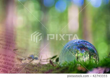 Earth's Eco Earth's Eco 42743355