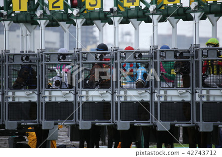 阪神賽馬場 阪神賽馬場 42743712