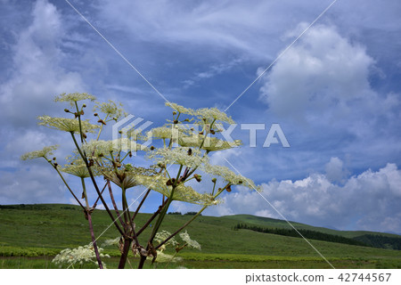 Tateshina Kogen的Shishoudo Tateshina Kogen的Shishoudo 42744567