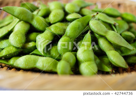 Edamame bean · · · · · Edamame bean · · · · · 42744736