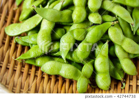 毛豆豆····· 毛豆豆····· 42744738
