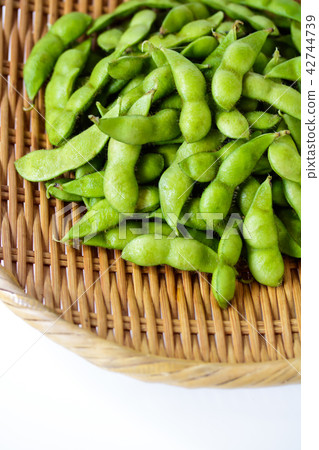 毛豆豆····· 毛豆豆····· 42744739