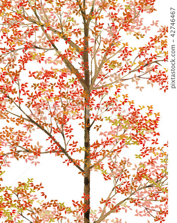 Autumn leaves 42746467