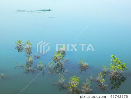 Boundary forest of Yogawa Dam lake in Oguni-machi 42748376
