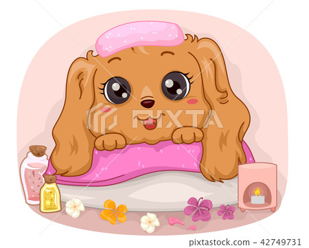 Dog Spa Flowers Illustration 42749731