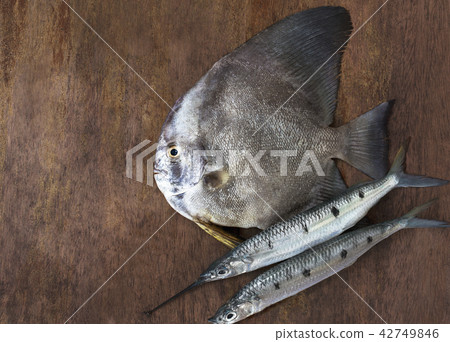 fish fish 42749846