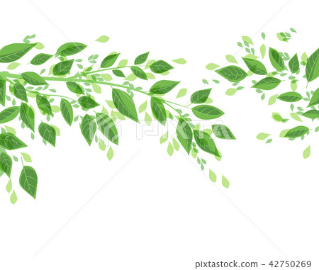 Green tree leaves Green tree leaves 42750269