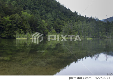 長野縣Kamikochi Misakike Pond / Matsumoto-shi 長野縣Kamikochi Misakike Pond / Matsumoto-shi 42750274