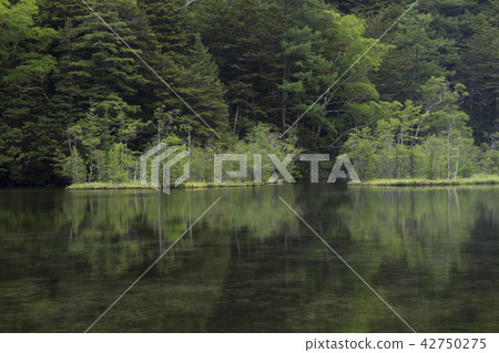 長野縣Kamikochi Misakike Pond / Matsumoto-shi 42750275