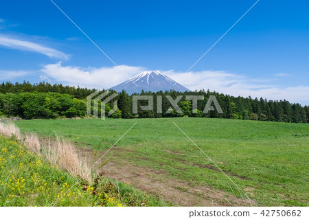 從晨霧高地路站的富士山 從晨霧高地路站的富士山 42750662
