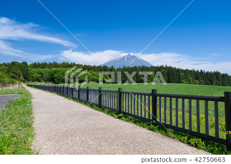 從晨霧高地路站的富士山 42750663