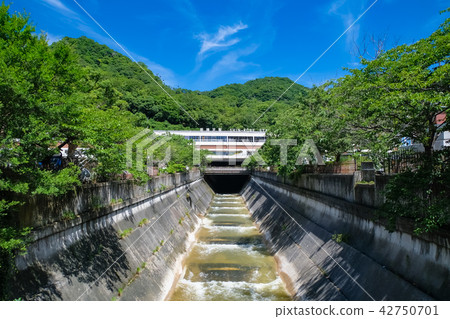 Shinkobe站和生田河 Shinkobe站和生田河 42750701