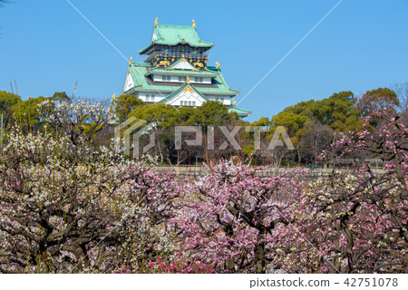 大阪城堡 42751078