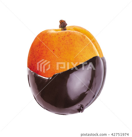 apricots in chocolate apricots in chocolate 42751974