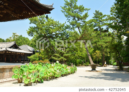 奈良·Toshodaiji寺 奈良·Toshodaiji寺 42752045