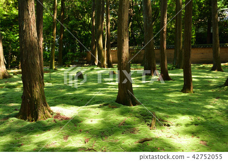 Nara · Toshodaiji Temple 42752055