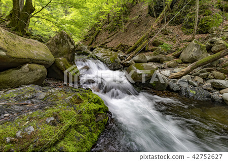 Yamanashi Kosuge村的清除潮流 Yamanashi Kosuge村的清除潮流 42752627