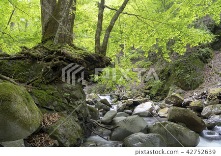 Yamanashi Kosuge村的清除潮流 42752639