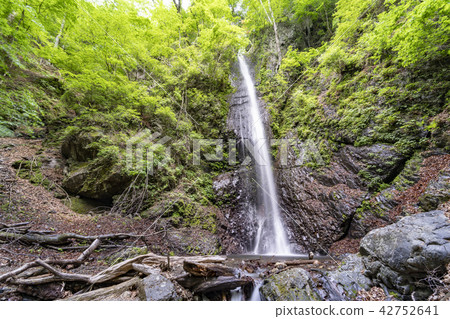 Shiraito Falls at Yamanashi Kosuge Village 42752641