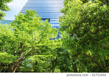 Landscape of many green office streets 42752692