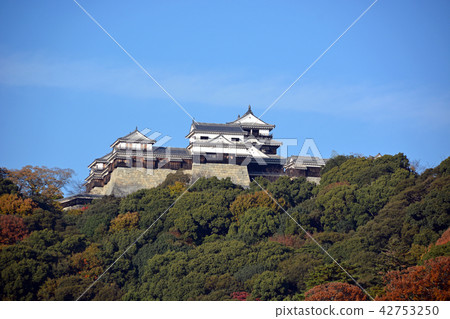 松山城 松山城 42753250