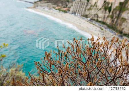 Tropea town and beach Tropea town and beach 42753362