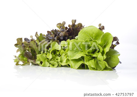 Hydroponic salad on white background Hydroponic salad on white background 42753797