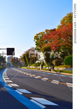 Prefectural Government Street (Saitama-shi Urawa-ku) 42755000