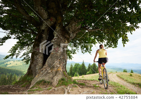 Attractive female cyclist with yellow mountain bicycle, enjoying sunny day in the mountains 42755884