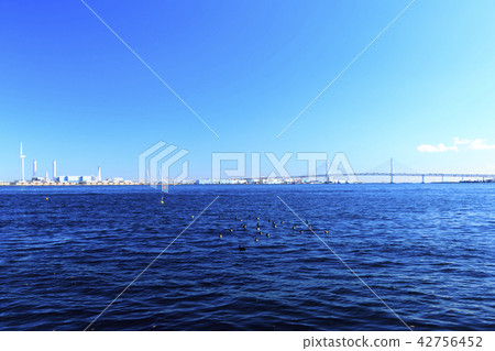 Yokohama port  42756452