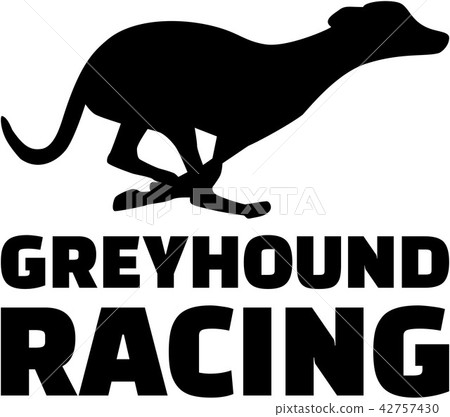 Greyhound Dog Racing 42757430