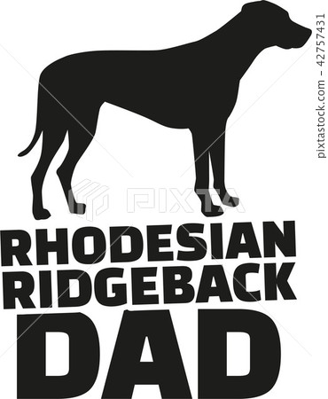 Rhodesian ridgeback dad 42757431
