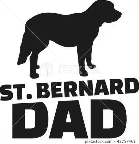 St. Bernard dog dad 42757461