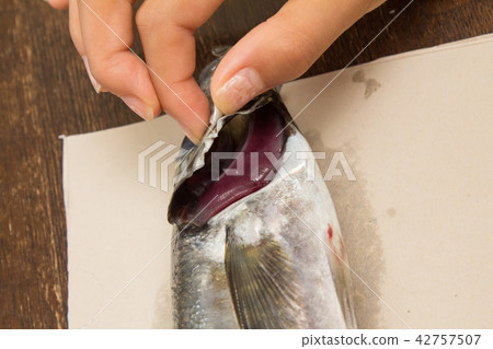 Anatomy of an Asian Anatomy of an Asian 42757507