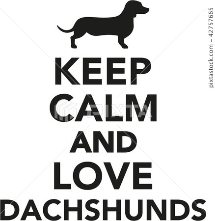 how to calm a dachshund