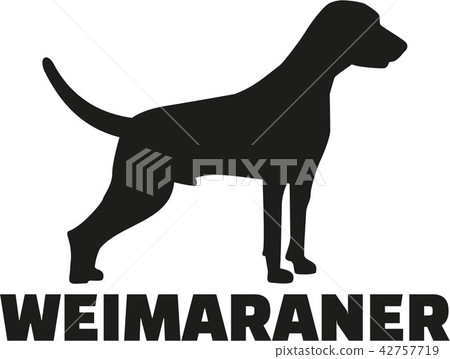 dog_weimaraner_real_word.eps dog_weimaraner_real_word.eps 42757719