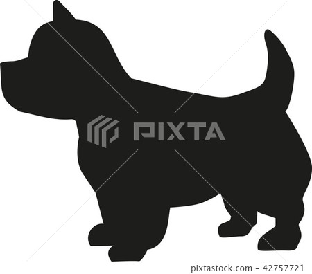 West Highland Terrier icon 42757721