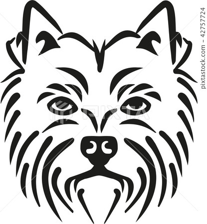West Highland Terrier head 42757724