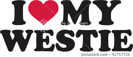 I love my westie 42757726