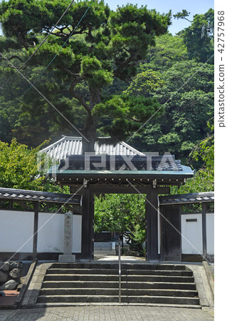 Kofuji Temple神奈川縣大磯鎮大磯 42757968