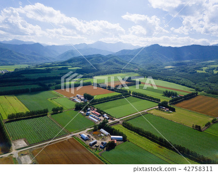 在北海道的空中拍攝 在北海道的空中拍攝 42758311