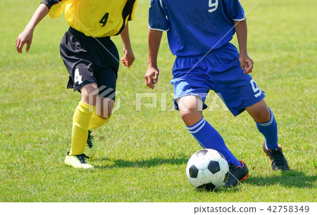 Football football 42758349