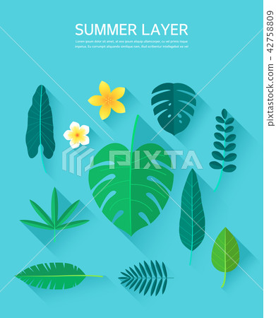 Summer layer collection - Stock Illustration [42758809] - PIXTA