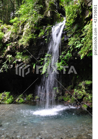 Jinguma Waterfall 42759601