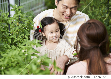 Family garden, family, Korean 42761850